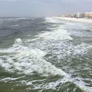 Meet your Posher, Tori